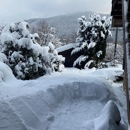 Guest house 