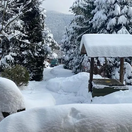 Guest house 