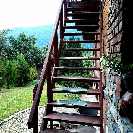 Guest house 