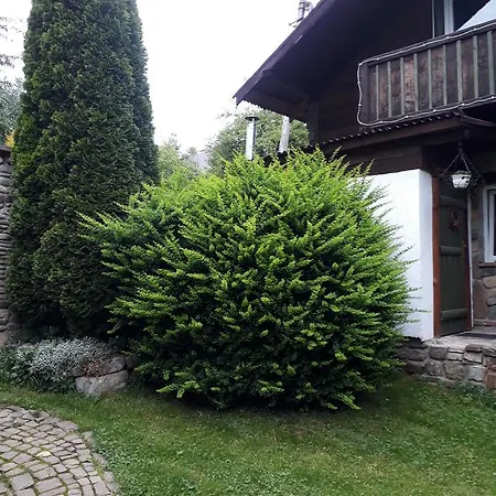 Guest house 