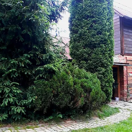 Guest house 
