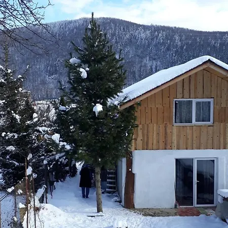 Guest house 